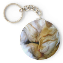 Snuggle Kittens Keychain