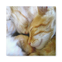 Snuggle Kittens Magnet by thehatch Snuggle Kittens Magnet