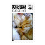 Snuggle Kittens Postage postage
