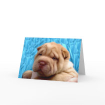 Snuggle Me Greeting Card by charmingcsp Snuggle Me Greeting Card