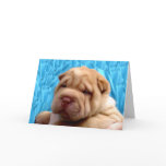 Snuggle Me Greeting Card