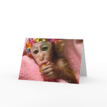 Snuggle Monkey Greeting Cards