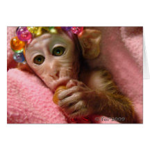 Snuggle Monkey Greeting Cards