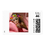 Snuggle Monkey postage