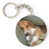 Snuggle Pup Keychain