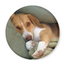 Snuggle Pup Magnet