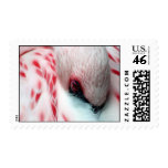 Snuggled In Stamp