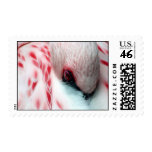 Snuggled In Stamp