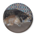 snuggles magnets