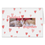 Snuggling cats Valentine's Day card