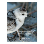 So be strong and courageous, all you who put your postcard