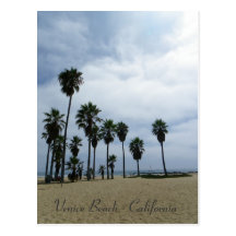 So Beautiful Venice Beach Postcard!