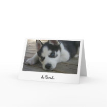 So Bored cards
