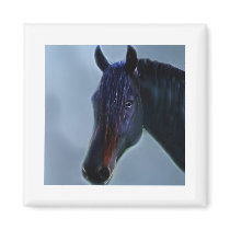 So Curious magnets by laureenr So Curious magnets