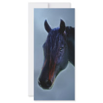 So Curious rack cards by laureenr So Curious rack cards