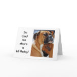SO GLAD WE SHARE A BIRTHDAY cards