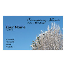 So Icy Business Card