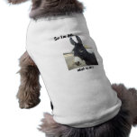So I'm an A** Pet Clothes
