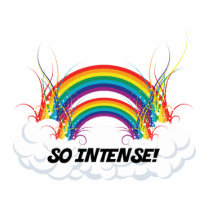 SO INTENSE DOUBLE RAINBOW PHOTO CUTOUT