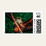 So Lonely Without You Postage