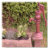 prim, primitive, water, pump, poster, antique,
