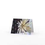 So Soba cards