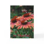 So Thankful Expression Card