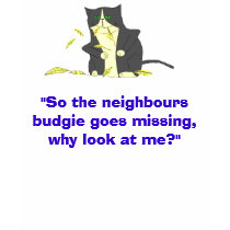 "So the neighbours budgie goes miss... t-shirts