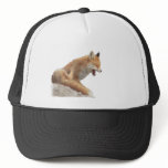 so-tired 2 hats