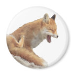 so-tired 2 fridge magnets