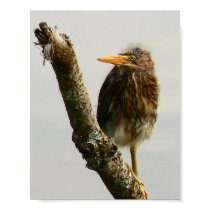 So Ugly He's Cute posters by SimplySissy So Ugly He's Cute posters
