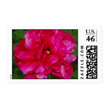 So Very Red Stamp