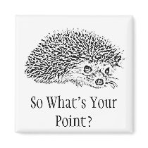 So What's Your Point? magnets