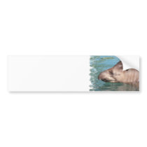 Soaking Tapir Bumper Sticker