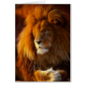 Soaking Up the Sun, King of the Jungle Lion II cards