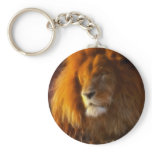 Soaking Up the Sun, King of the Jungle Lion II keychains