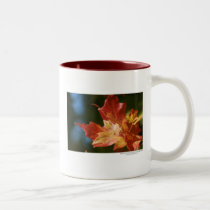 Soaking Up the Sun -Mug