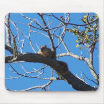 Soaking Up The Sun Squirrel, mousepad by SusanParsons Soaking Up The Sun Squirrel, mousepad