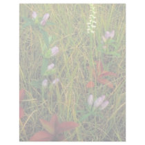 Soapwort gentian and Nodding ladies tresses letterhead by animalpark Soapwort gentian and Nodding ladies tresses letterhead