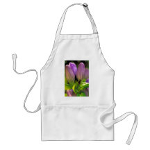 Soapwort gentian apron