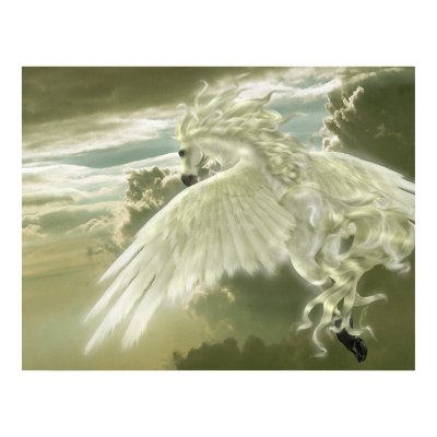 Soar Away Posters by lydian