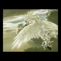 Soar Away