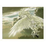 Soar Away