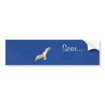 Soar Bumper Stickers
