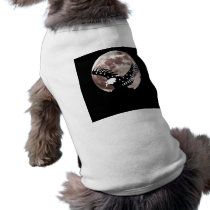 Soar_ Dog Clothes