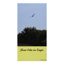 Soar Like an Eagle photo cards by YourAmaryllis Soar Like an Eagle photo cards