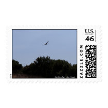Soar Like an Eagle Postage Stamp