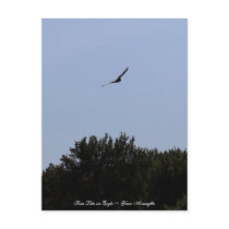 Soar Like an Eagle Postcards