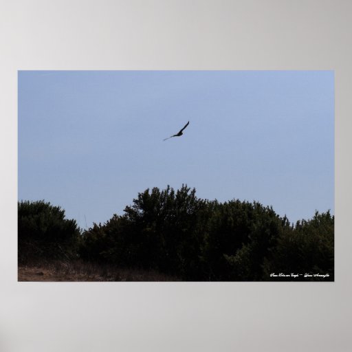 Soar Like an Eagle Poster