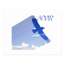 Soar Post Card
